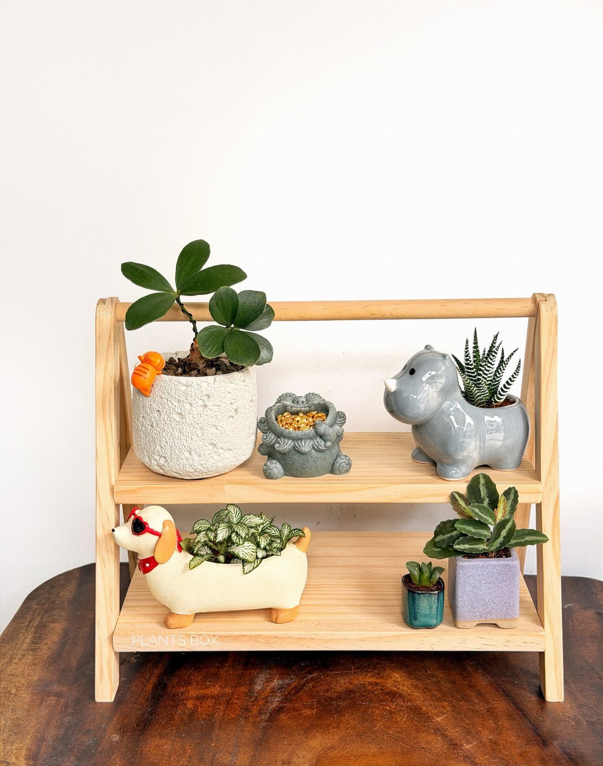 18 Unique Pots for Plants, From Resin Corgis to Copper Flowers 8 Corgi-shaped resin planter with a small plant on a wooden shelf.