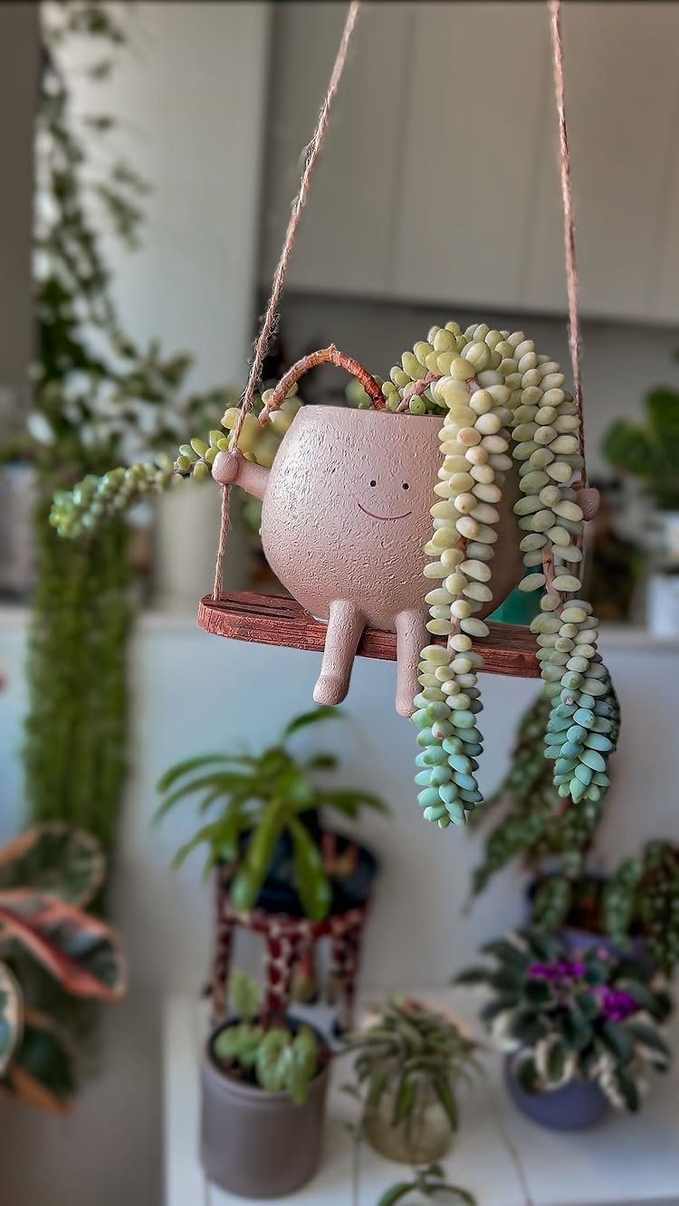 18 Unique Pots for Plants, From Resin Corgis to Copper Flowers 17 Smiling pink ceramic planter on a wooden swing with trailing succulent plant.