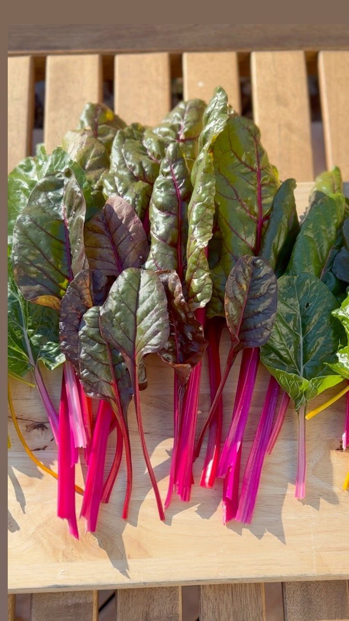 Swiss chard with bright red stems and dark green leaves on a wooden board.