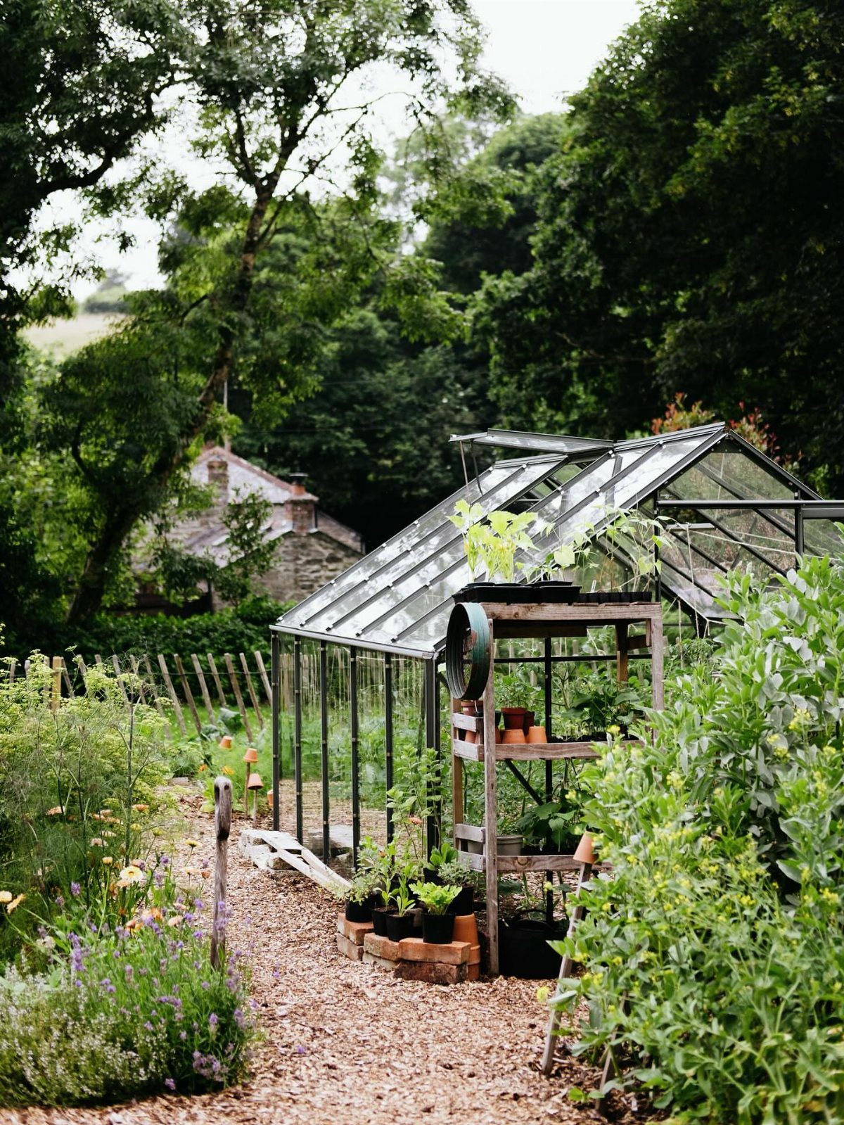 Glass greenhouse in a garden with wooden shelves and potted plants outside.