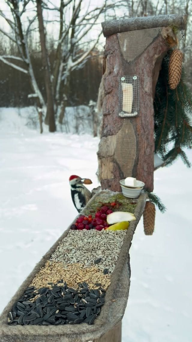 Rustic wooden bird feeder with seeds and berries in a snowy winter garden.