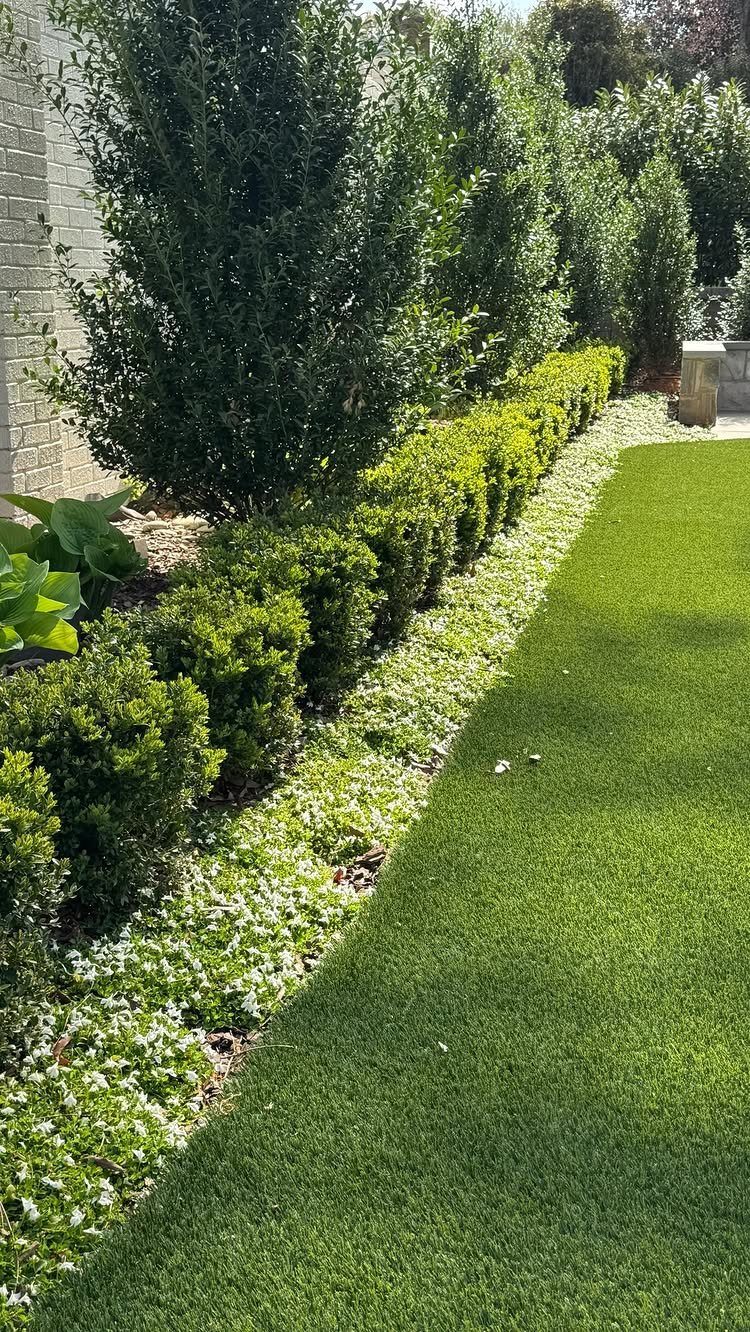 White flowering groundcover and small green shrubs bordering a lush green lawn.