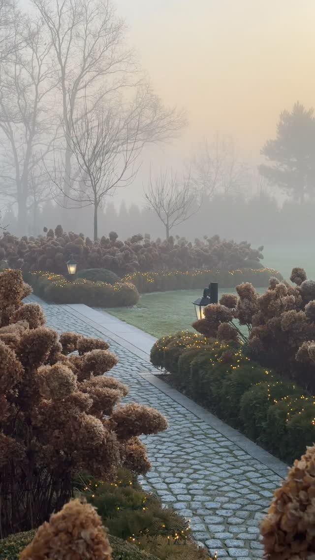 Cobblestone garden path with lit landscape lamps and fairy lights in foggy winter weather.
